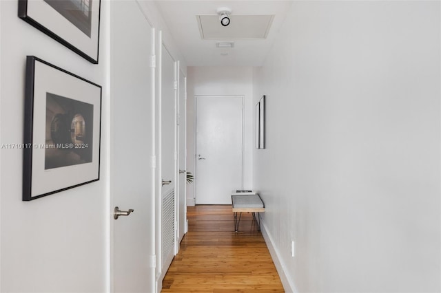 corridor featuring light hardwood / wood-style flooring