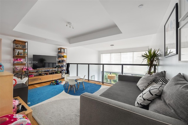 living room with hardwood / wood-style floors and a tray ceiling