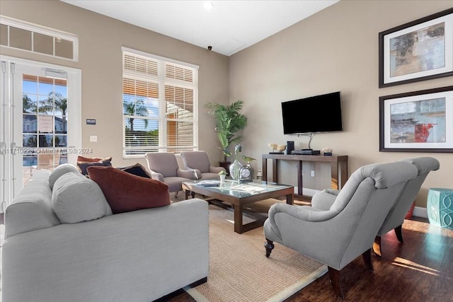 living room with hardwood / wood-style flooring and a wealth of natural light