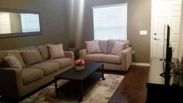 living room featuring hardwood / wood-style floors and plenty of natural light