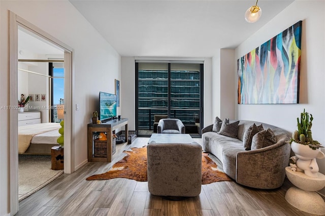 living room with hardwood / wood-style flooring and a wall of windows