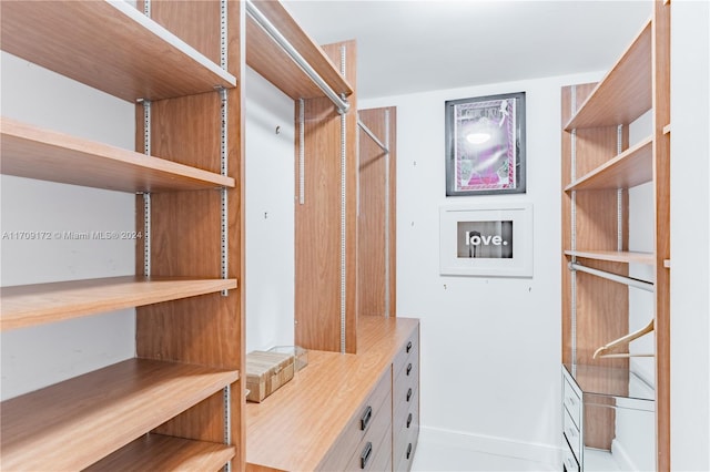 1800 NE 114th St Unit 1105, Miami, FL 33181 - view of walk in closet
