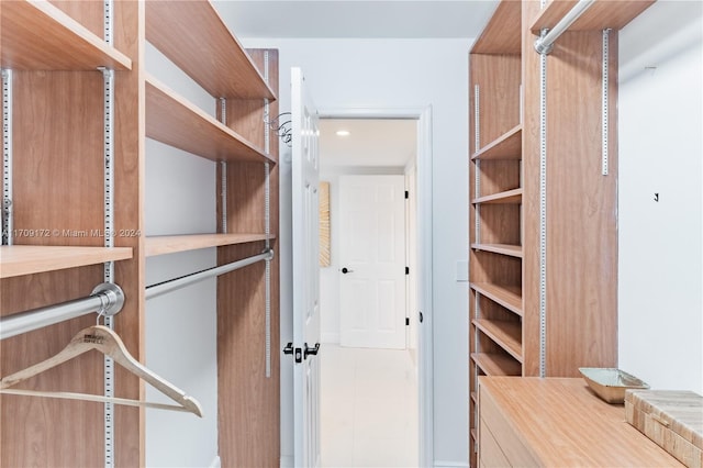 view of spacious closet