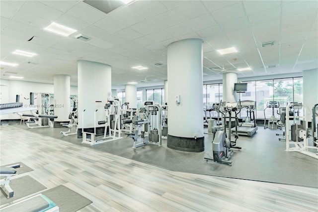 exercise room featuring wood-type flooring, a paneled ceiling, and a wealth of natural light