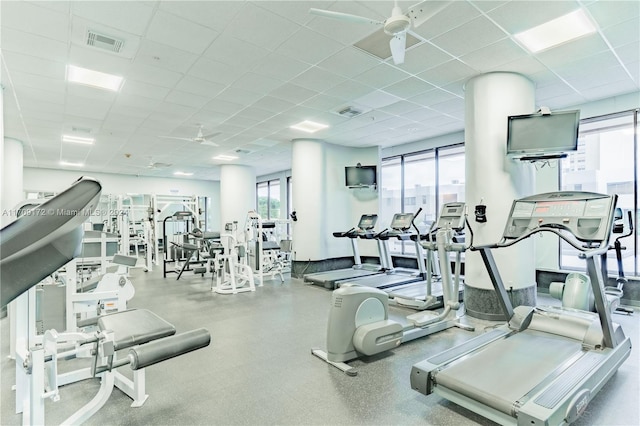 gym featuring a drop ceiling and ceiling fan