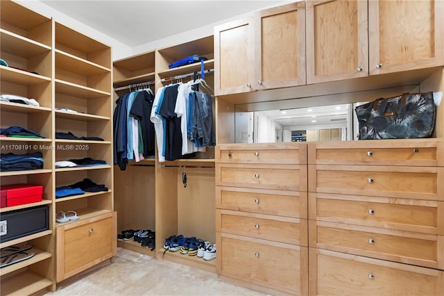 view of spacious closet