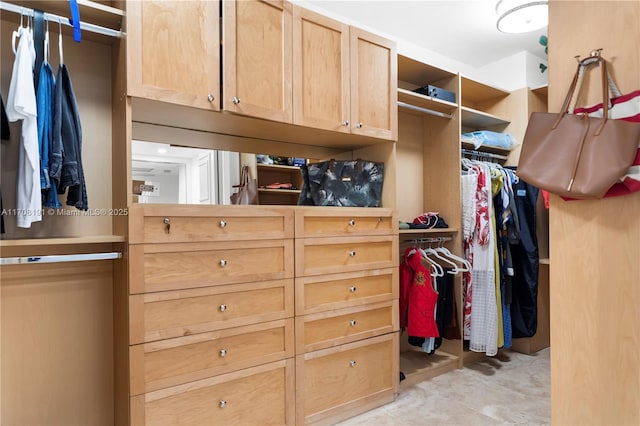 view of spacious closet