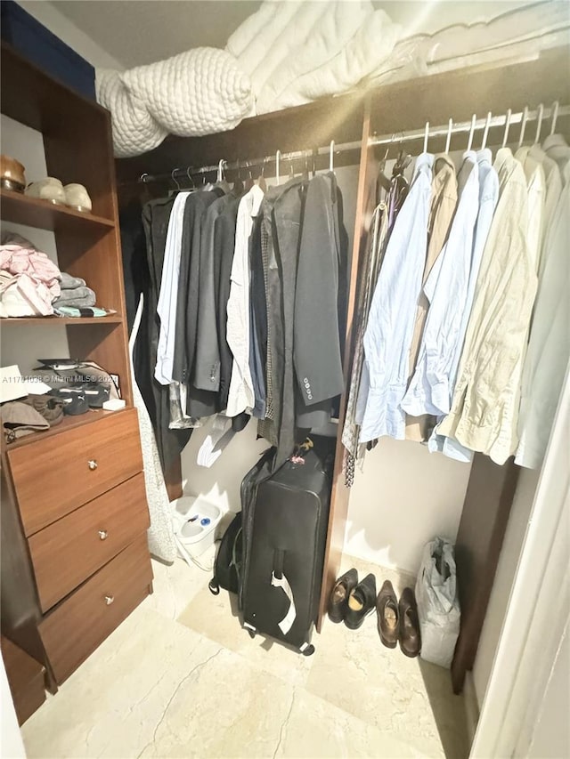 view of spacious closet