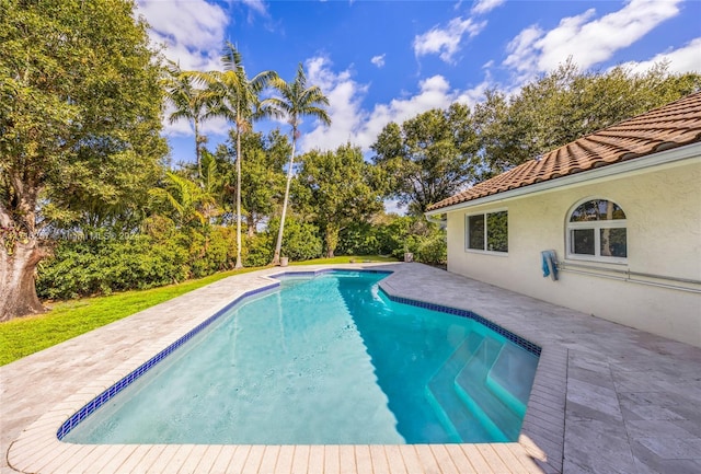 view of pool with a patio area