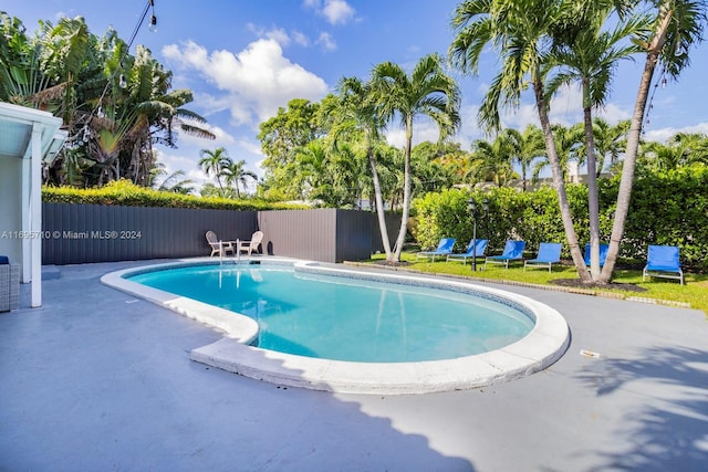 view of pool with a patio area