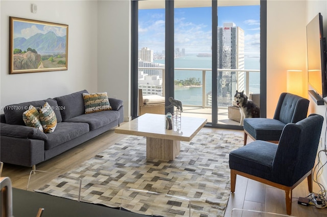 living room with light wood-type flooring