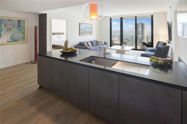 kitchen featuring hardwood / wood-style floors, decorative light fixtures, and plenty of natural light