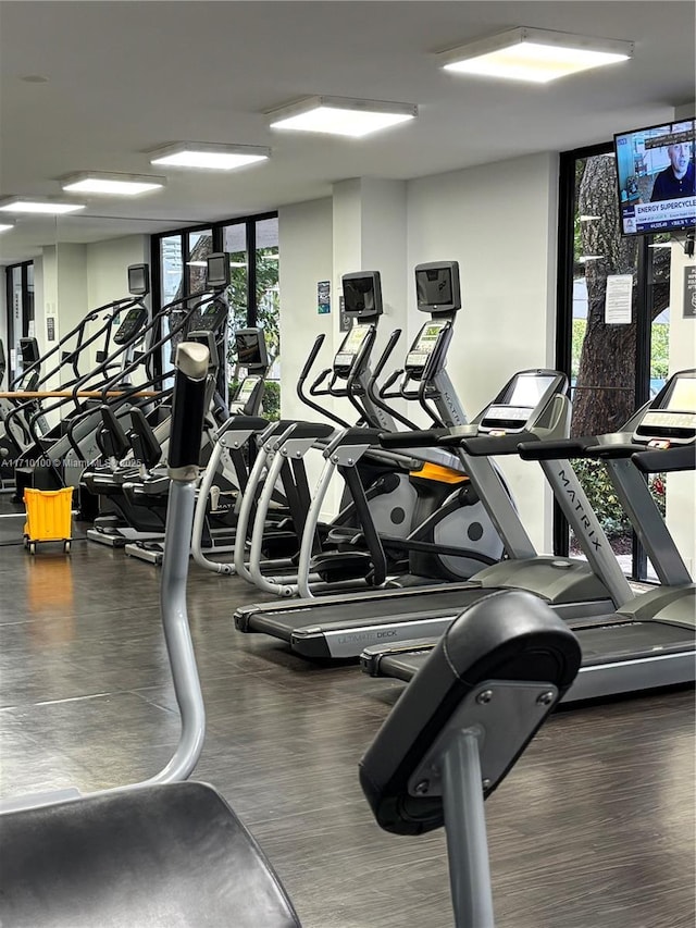 exercise room with floor to ceiling windows