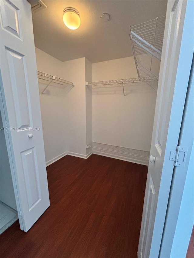 walk in closet featuring dark wood-type flooring