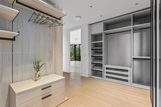 spacious closet with wood finished floors