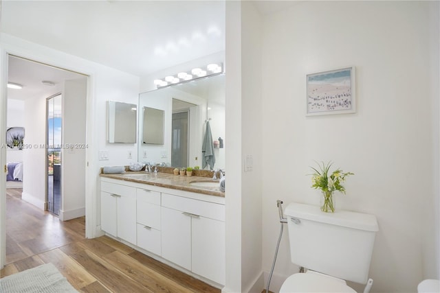 bathroom featuring vanity, toilet, and wood-type flooring