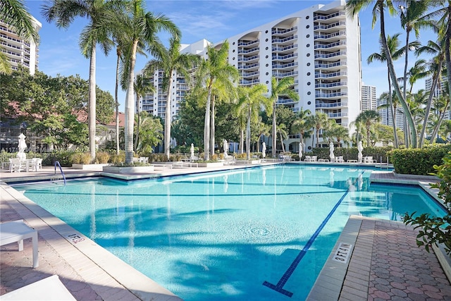 view of pool with a patio area