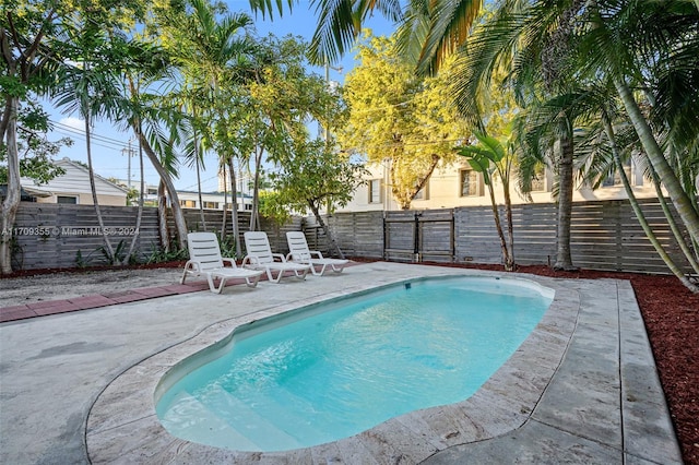 view of swimming pool featuring a patio