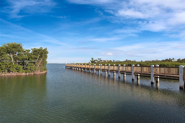 dock area with a water view