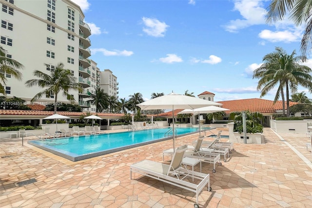 view of swimming pool featuring a patio area