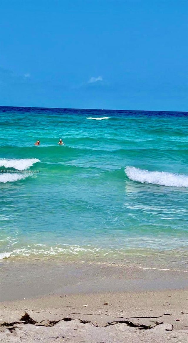 water view with a view of the beach