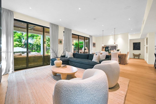 living room featuring light hardwood / wood-style floors