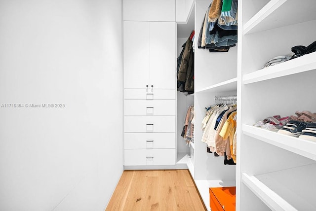 walk in closet featuring light wood-type flooring