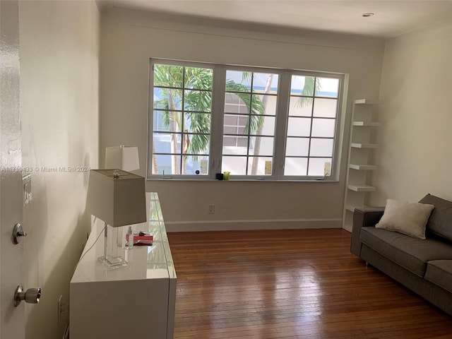 living room featuring dark hardwood / wood-style flooring