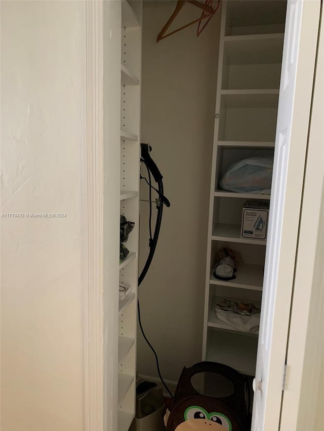 view of spacious closet