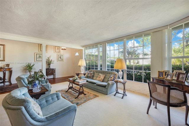 living room featuring expansive windows and a textured ceiling