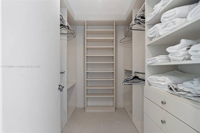 view of spacious closet