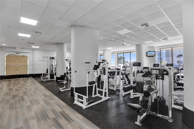 gym with a paneled ceiling and ceiling fan