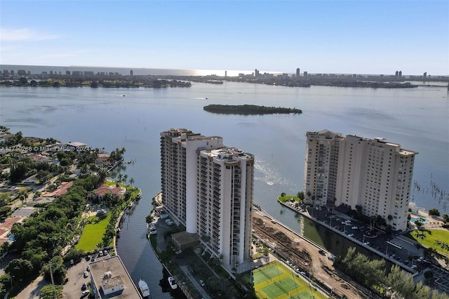 bird's eye view with a water view