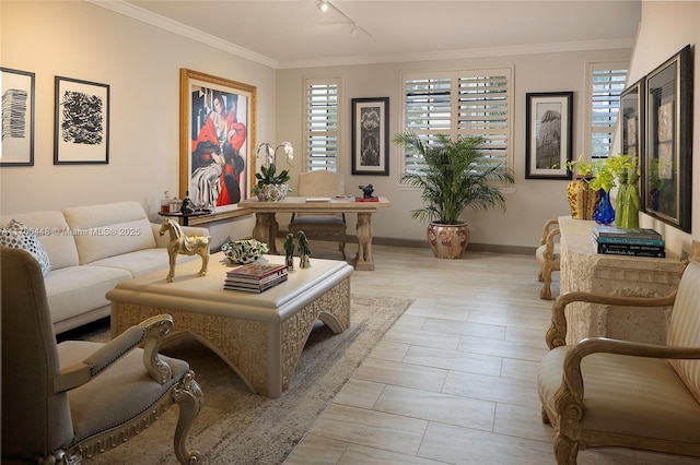 living room with rail lighting and crown molding