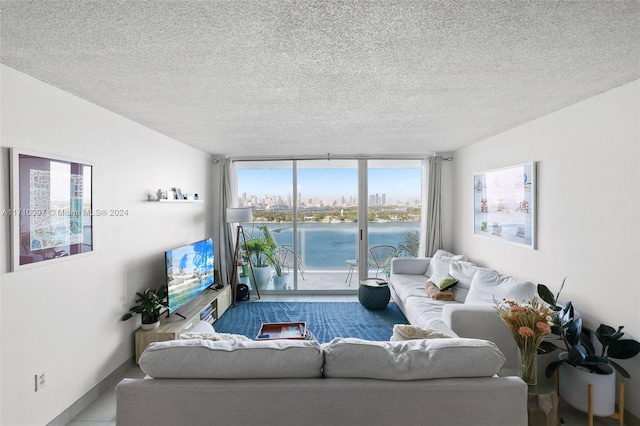 living room with a textured ceiling