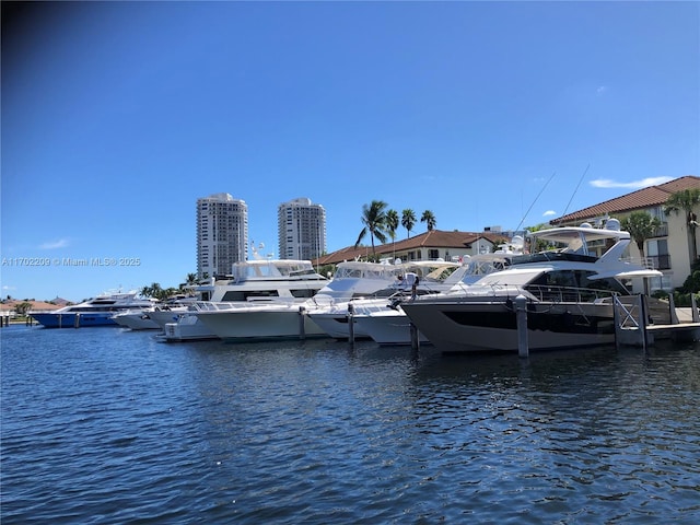 view of dock with a water view