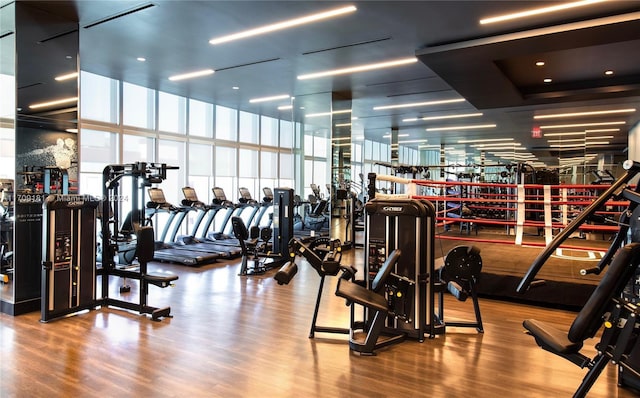 workout area featuring hardwood / wood-style flooring and a wall of windows