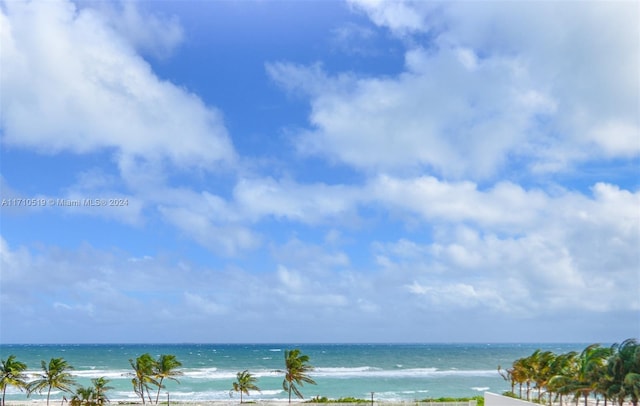 property view of water featuring a view of the beach