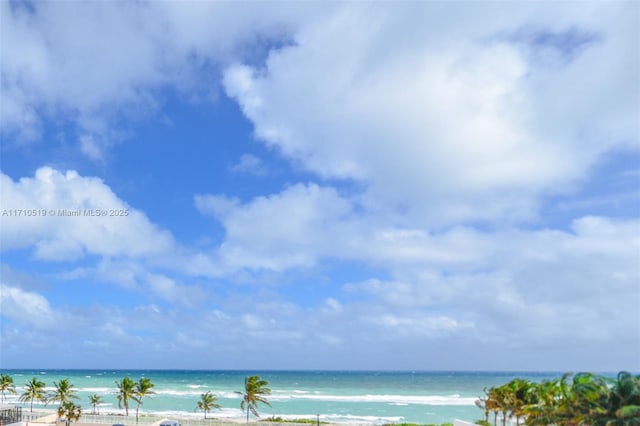 view of water feature featuring a view of the beach