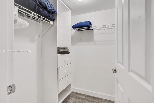 spacious closet with hardwood / wood-style floors