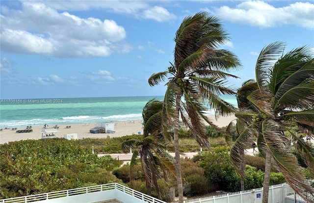 water view with a view of the beach