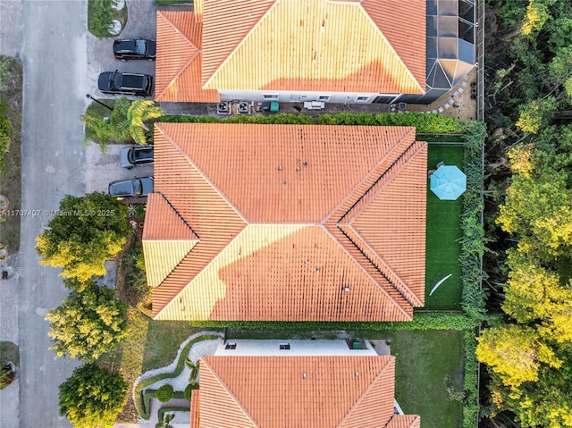 drone / aerial view