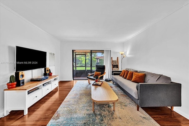 living room featuring crown molding and dark wood-type flooring