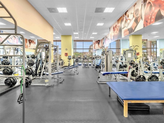 gym featuring a paneled ceiling and floor to ceiling windows