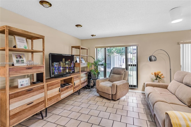 living room with a textured ceiling