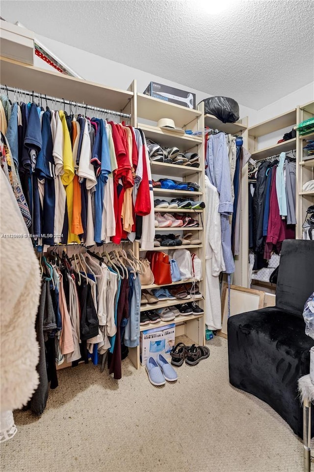 spacious closet with carpet floors