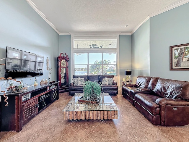 living room featuring crown molding and a textured ceiling