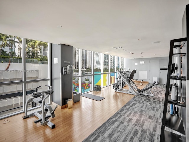 workout area with floor to ceiling windows and light hardwood / wood-style floors