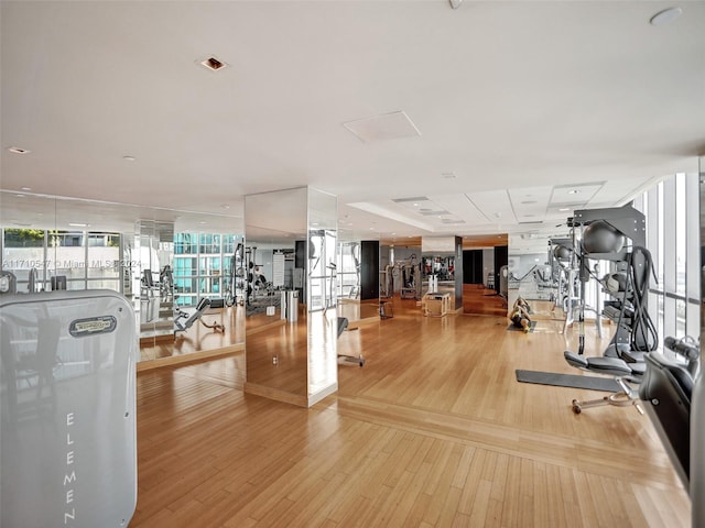 gym with light wood-type flooring and expansive windows