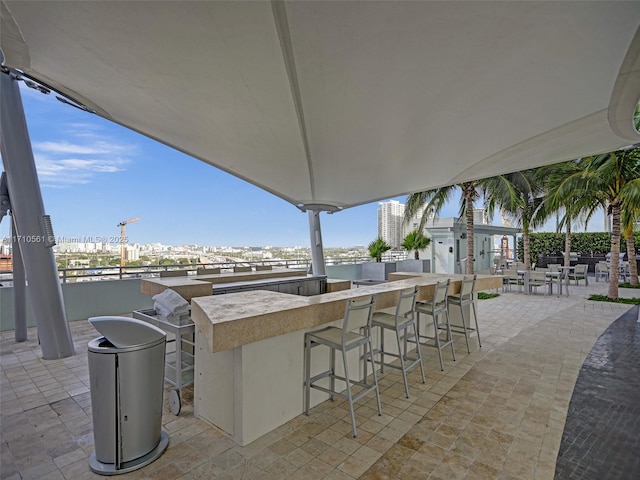 view of patio / terrace with a bar and an outdoor kitchen